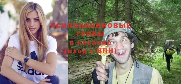 прущая мука Рославль