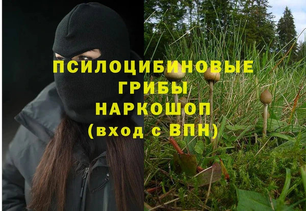 дурь Сатка
