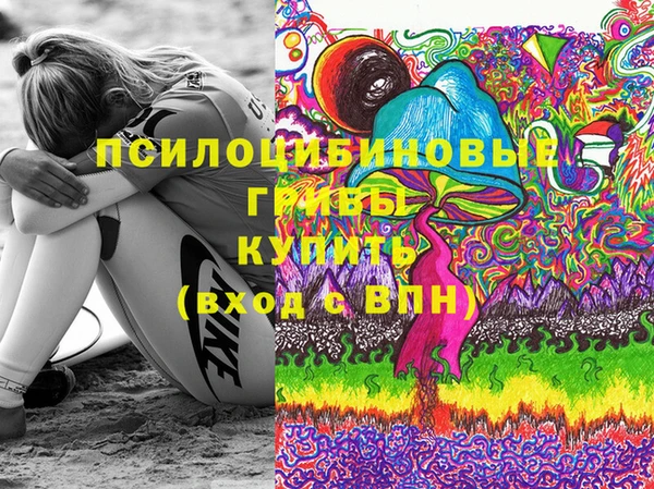 прущая мука Рославль