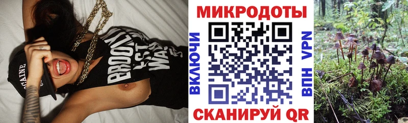 купить наркотик  Пугачёв  Галлюциногенные грибы Cubensis 
